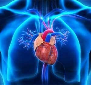Cardiology300x280