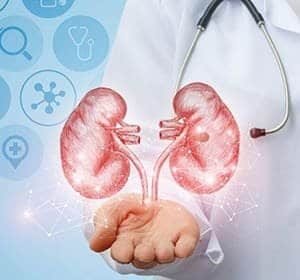 Nephrology300x280